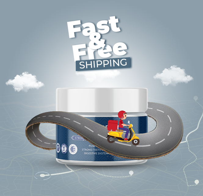 FortBite free shipping